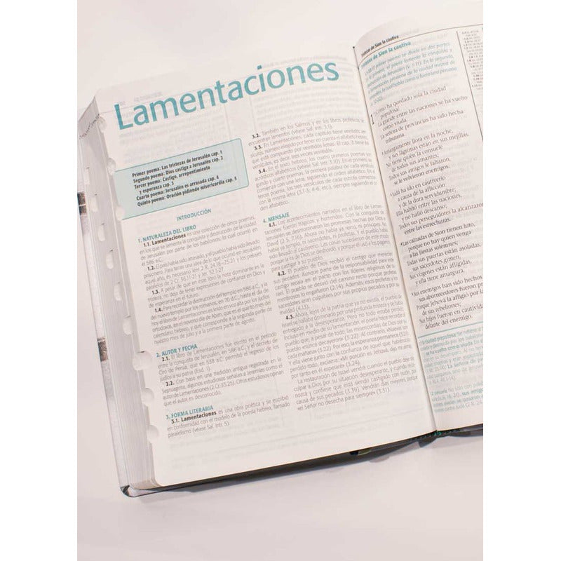 Biblia De Estudio Esquematizada / Sbu