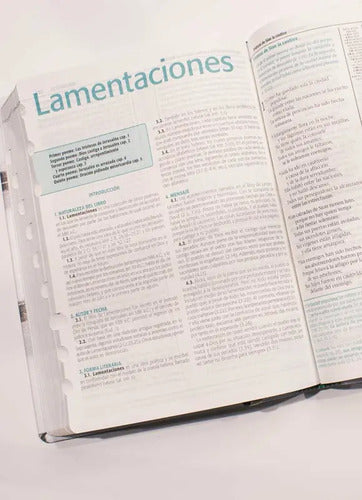 Biblia De Estudio Esquematizada / Sbu