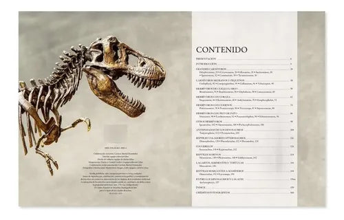 Enciclopedia Ilustrada De Los Dinosaurios (t. Dura) / Lexus