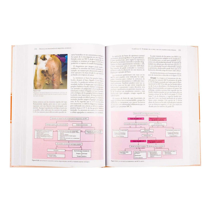 Manual De Oncologia En Pequeños Animales (tapa Dura) / Lexus