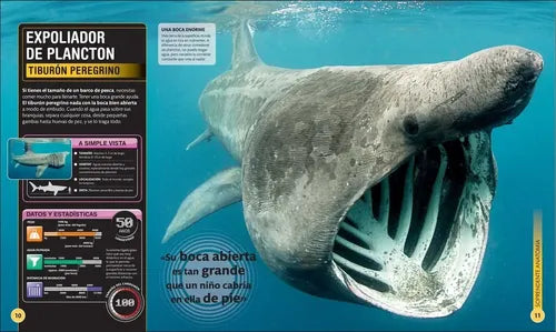 Dk Enciclopedia Super Tiburones (tapa Dura)