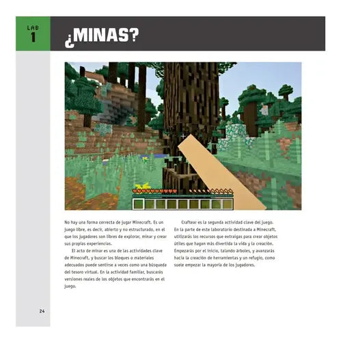 Laboratorio De Minecraft No Oficial Para Niños / Lexus