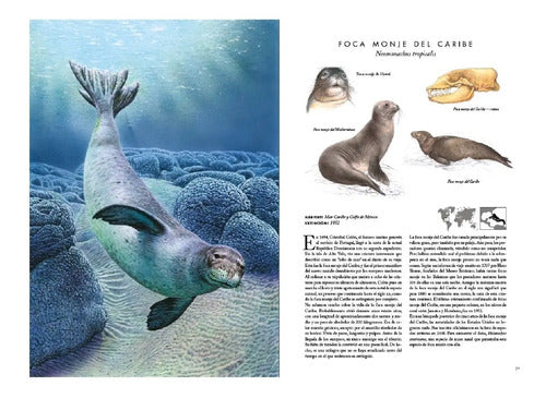 Atlas De Animales Extintos (tapa Dura) / Lexus