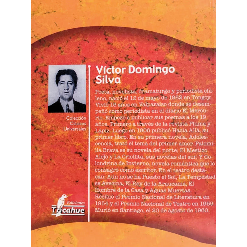 Golondrina De Invierno / Víctor Domingo Silva