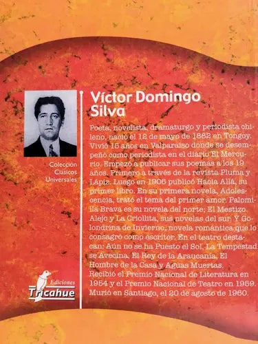 Golondrina De Invierno / Víctor Domingo Silva