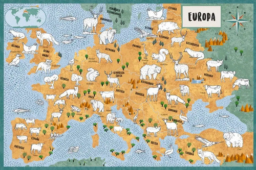 El Atlas De Los Animales Para Colorear (tapa Dura) / Vv Kids