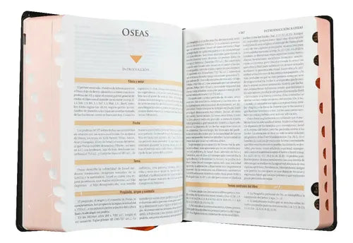Biblia De Estudio Teológico Reina Valera 1960