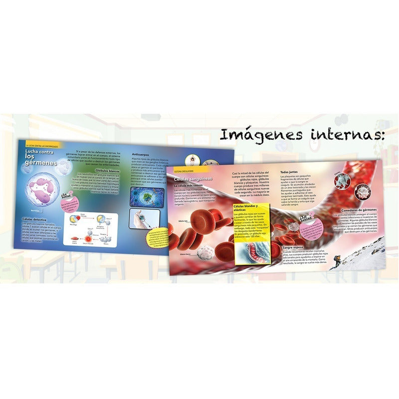 Enciclopedia Infantil Del Cuerpo Humano (tapa Dura)