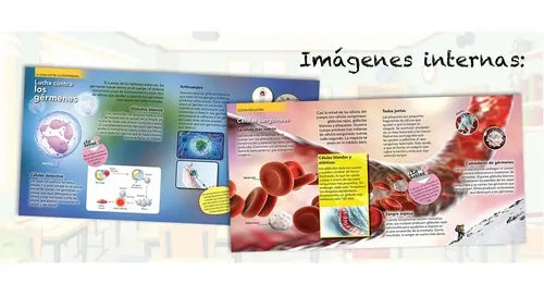 Enciclopedia Infantil Del Cuerpo Humano (tapa Dura)