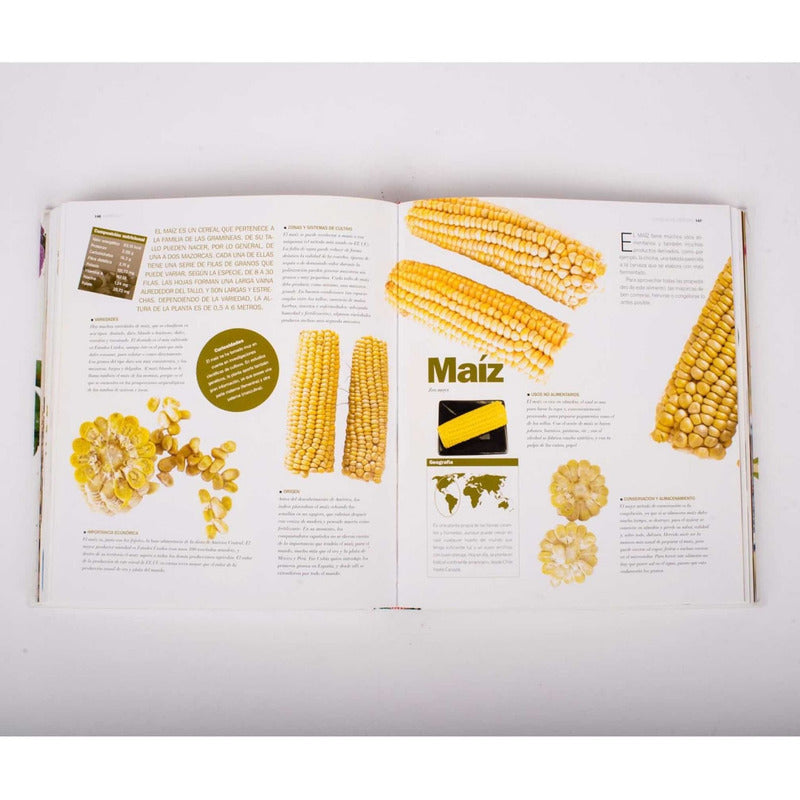 Atlas Ilustrado De Las Verduras (tapa Dura) / Susaeta