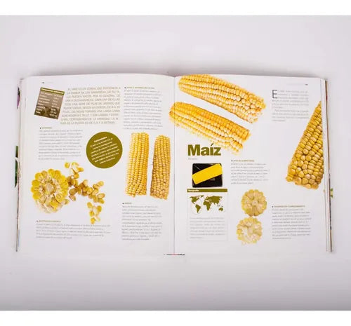 Atlas Ilustrado De Las Verduras (tapa Dura) / Susaeta