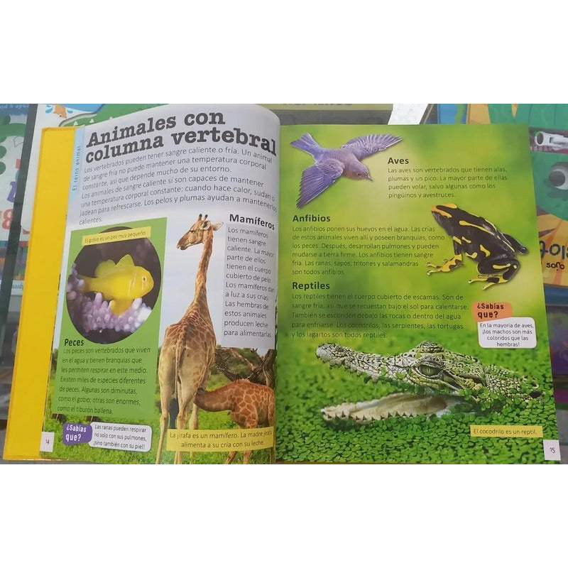 Animales Enciclopedia Infantil (tapa Dura) / Lexus