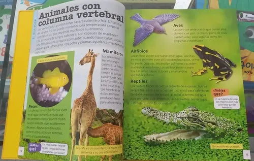 Animales Enciclopedia Infantil (tapa Dura) / Lexus