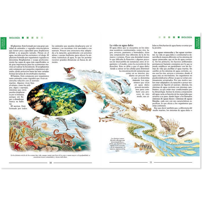 Lexus Enciclopedia Del Estudiante / Lexus