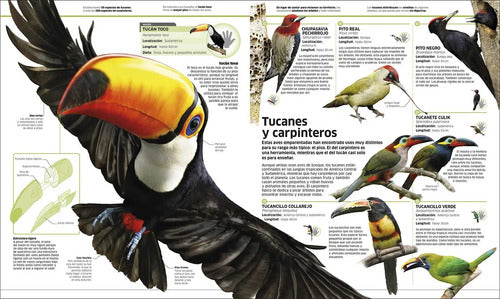 Dk Enciclopedia Animales (tapa Dura)