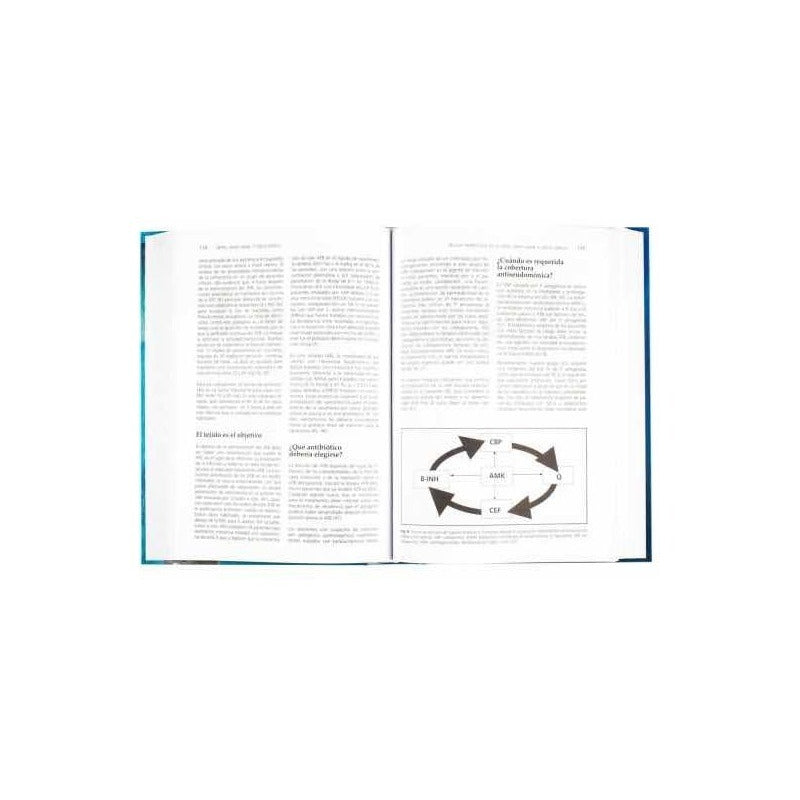 Temas De Medicina Crítica (2 Tomos Tapa Dura) / Lexus