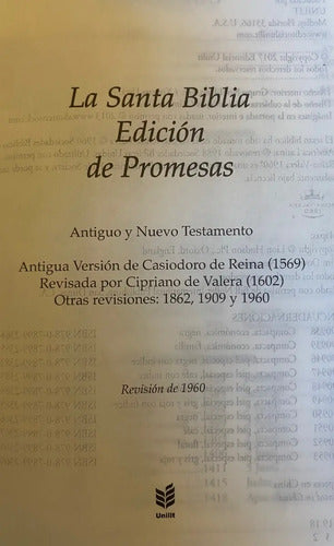 Santa Biblia De Promesas Compacta Con Estuche Lomo Negro
