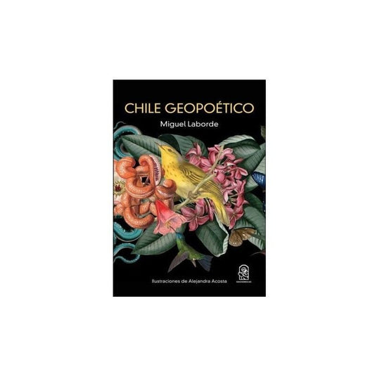 Chile Geopoético / Miguel Laborde