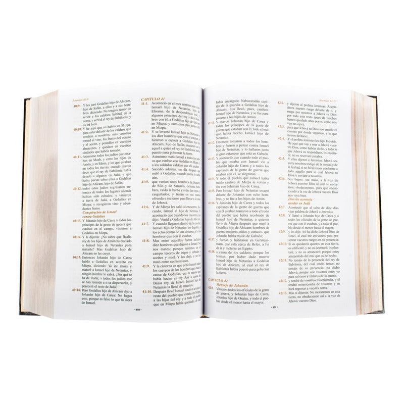 La Santa Biblia Reina Valera (tapa Dura) / Lexus