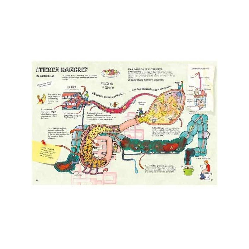 Descubre El Cuerpo Humano / Lexus