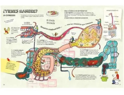 Descubre El Cuerpo Humano / Lexus