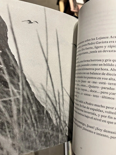 Juan Salvador Gaviota / Richard Bach