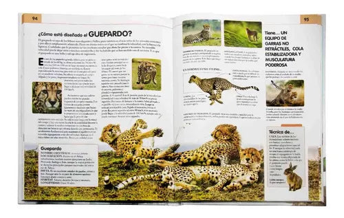 Comportamiento Del Reino Animal (tapa Dura) / Nuria Penalva