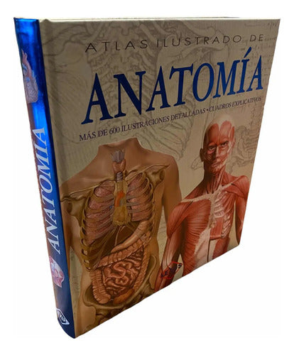 Atlas Ilustrado De Anatomia (tapa Dura) / Lexus
