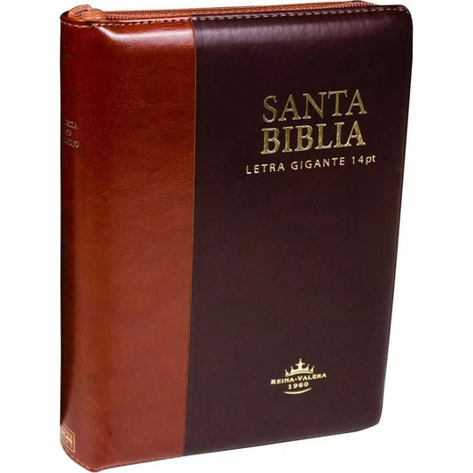 Santa Biblia Reina Valera 1960 Letra Gigante 14 Pt Estuche