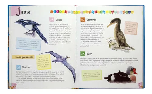 Lee Cada Día 365 Curiosidades De Animales / Lexus