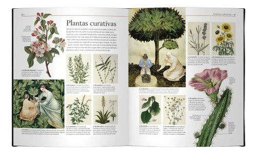 Plantas Medicinales (tapa Dura) / Andrew Chevallier