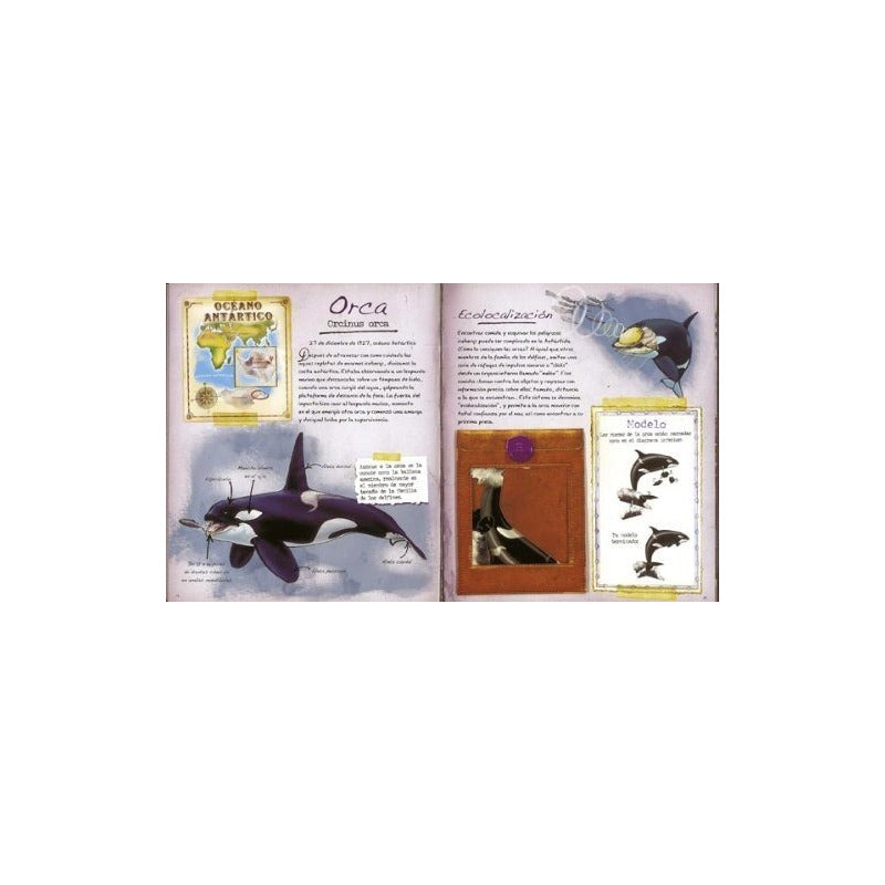 Animales Polares (mi Primera Guia De Campo) / Susaeta