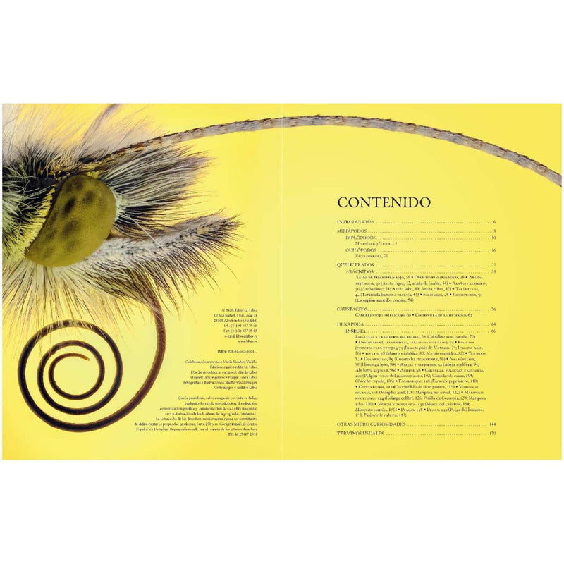 Enciclopedia Ilustrada De Micro Animales (tapa Dura) / Lexus