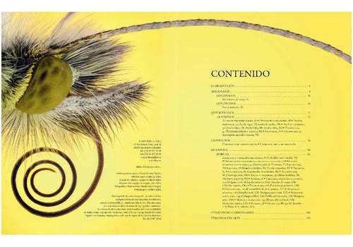 Enciclopedia Ilustrada De Micro Animales (tapa Dura) / Lexus