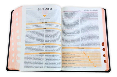 Biblia De Estudio Teológico Reina Valera 1960