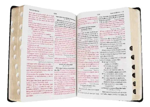 Santa Biblia Reina Valera 1960 Letra Grande Y Concordancia