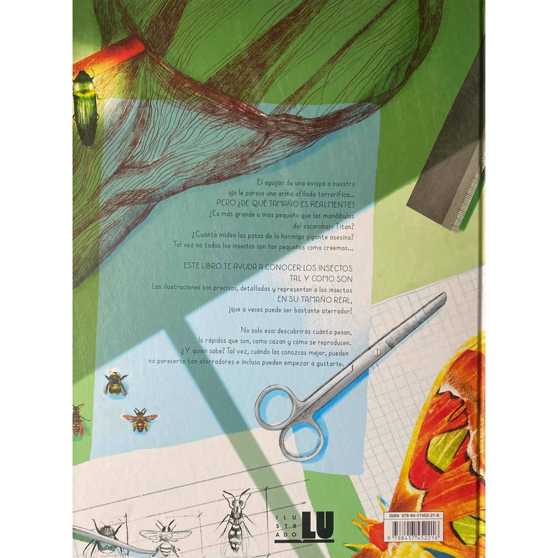 100% Insectos A Tamaño Real (tapa Dura) / Isabella Grott