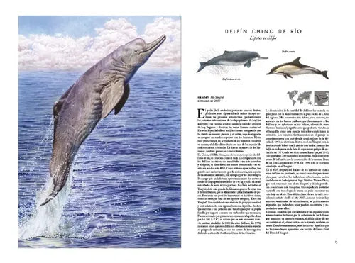 Atlas De Animales Extintos (tapa Dura) / Lexus