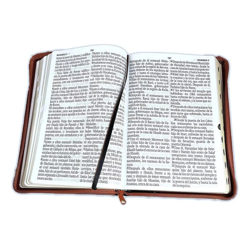 Santa Biblia Reina Valera 1960 Letra Gigante 14 Pt Estuche