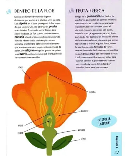 Biologia Para Niños Curiosos (tapa Dura) / Lexus