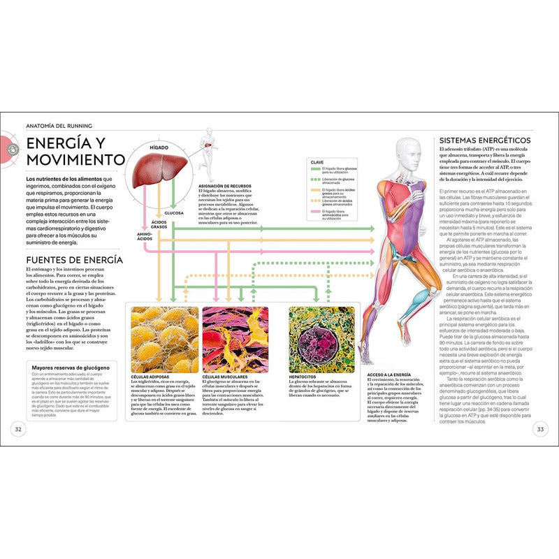 Dk Running Mejora Tu Tecnica (tapa Dura) / Chris Napier