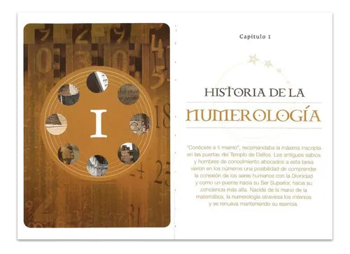 ¿qué Dicen Los Números De Ti? Numerología (t.dura) / Lexus