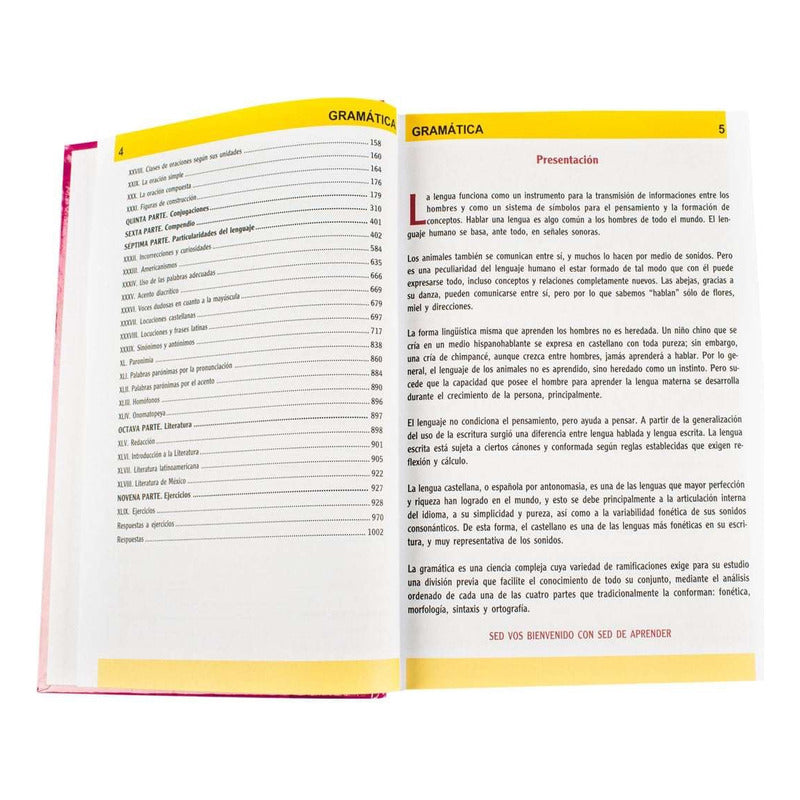 Consultor Gramática / Lexus