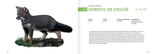 Historia Natural De Los Animales Del Bosque (td) / Charrier