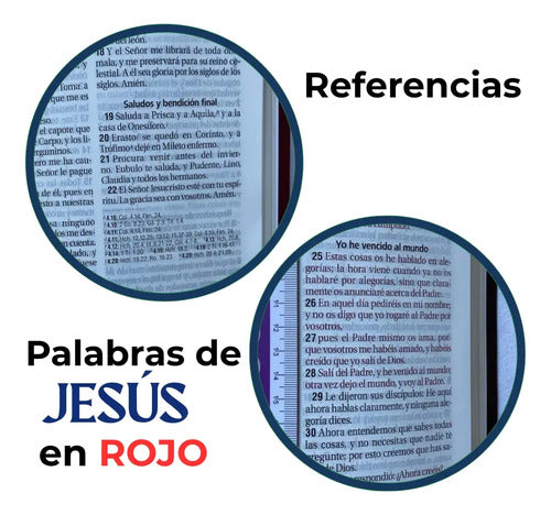 Santa Biblia Reina Valera 1960 Letra Gigante Piel / Sbu