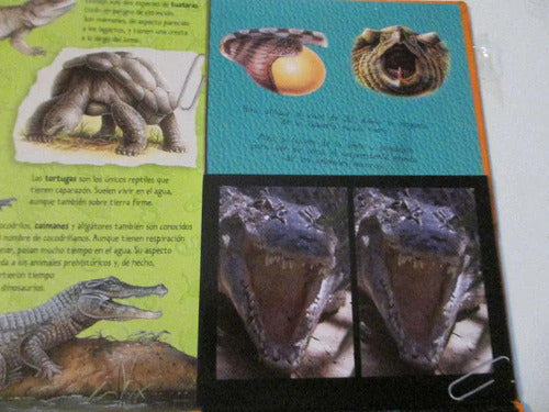 Reptiles Vision 3d (tapa Dura) / Gaby Goldsack