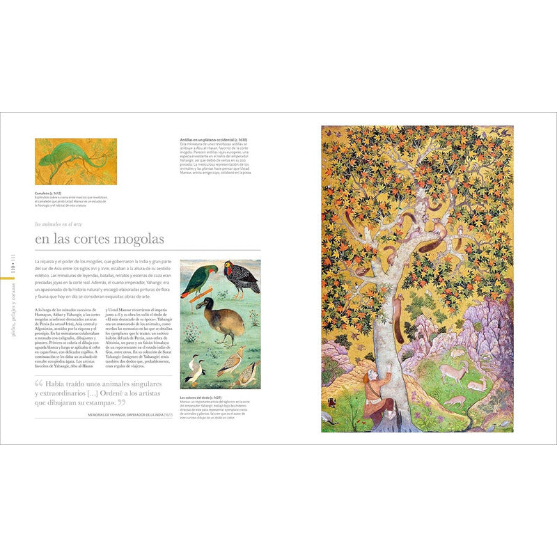 Dk Fauna El Mundo Secreto De Los Animales (tapa Dura)