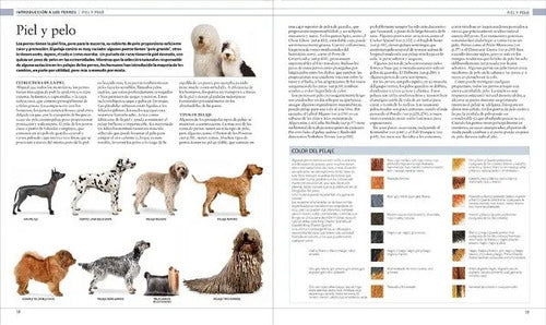 Perro La Enciclopedia La Guía Visual Definitiva (tapa Dura)