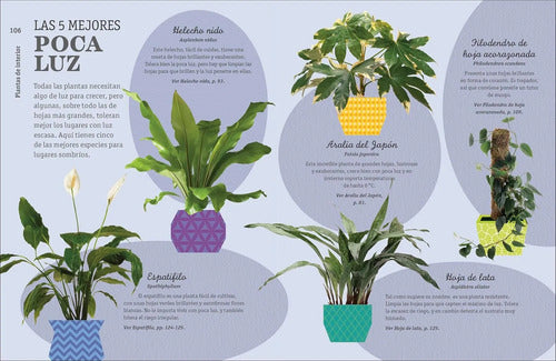 Como No Matar Tus Plantas (tapa Dura) / Dk