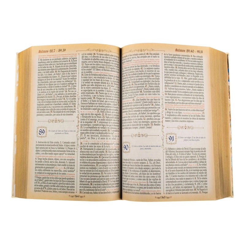 Sagrada Biblia Dorada (tapa Acolchada) / Lexus